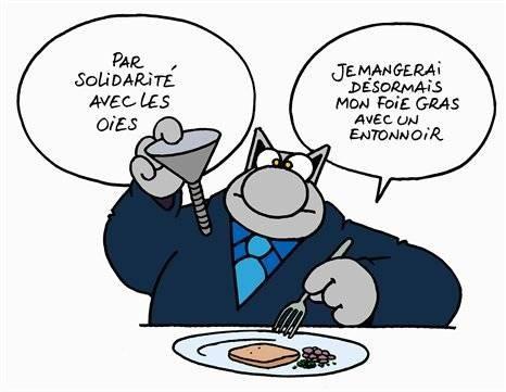 drole-messages-bon-reveillon-31-decembre-humour-bonne-annee-comique.jpg