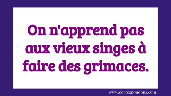 Toutes Les Expressions Françaises Humour Amour Animaux